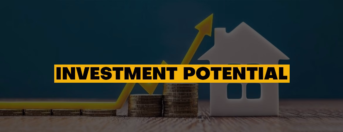 investment-potential